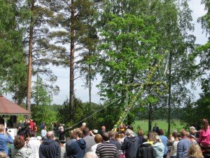 Resning av Midsommarstång/Bebbe 2015